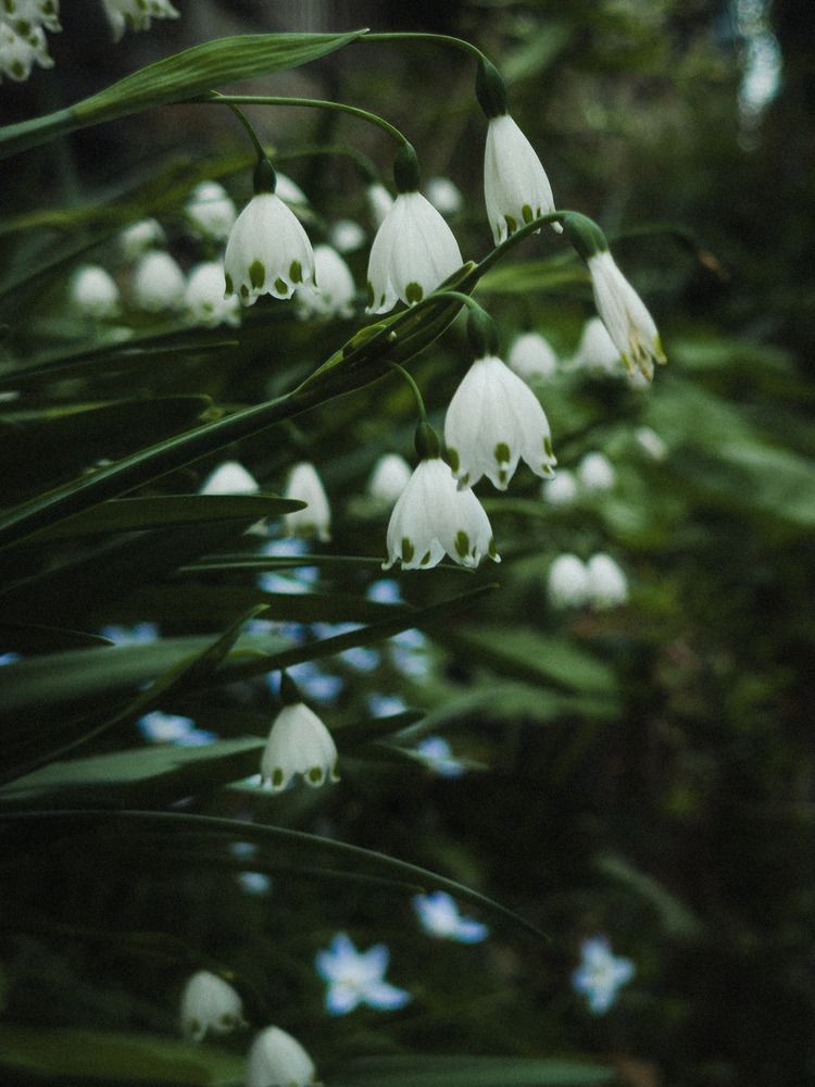 Фотография автора Gerun Ekaterina