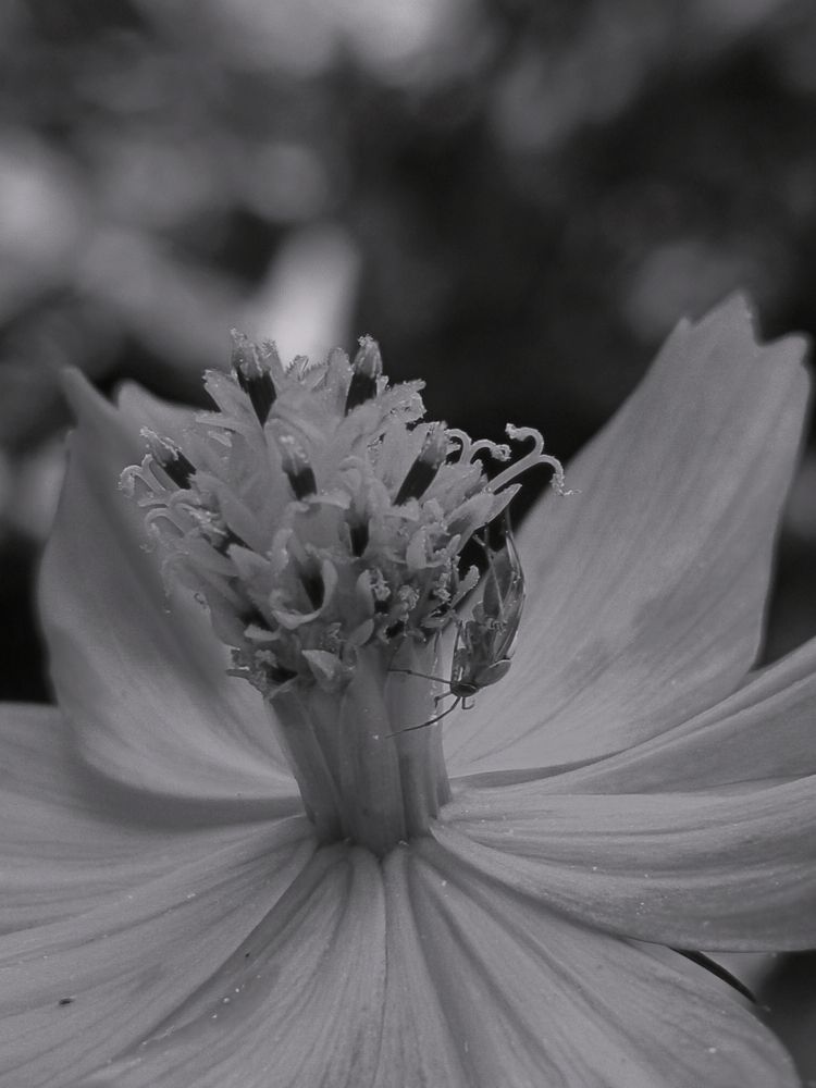 Фотография автора Jindřiška Kučerová