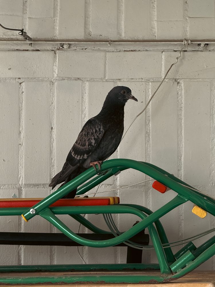 Photograph by Uladzimir Hvozd