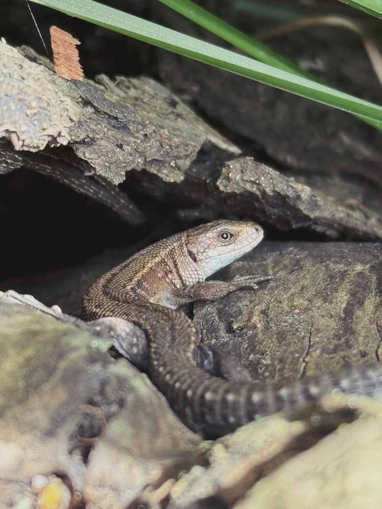 Photograph by Uladzimir Hvozd