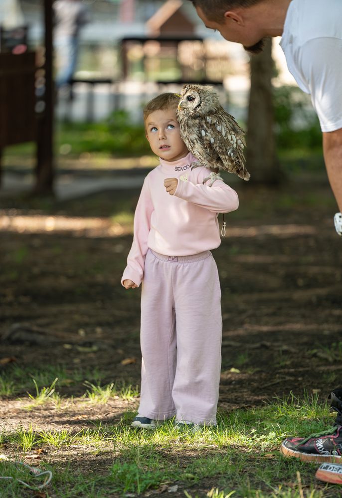 Photograph by Альварис Сукманюк