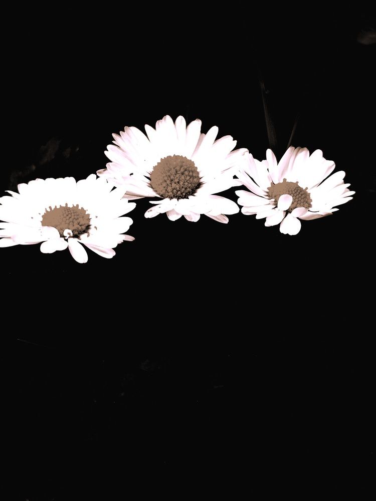 Фотография автора Jindřiška Kučerová