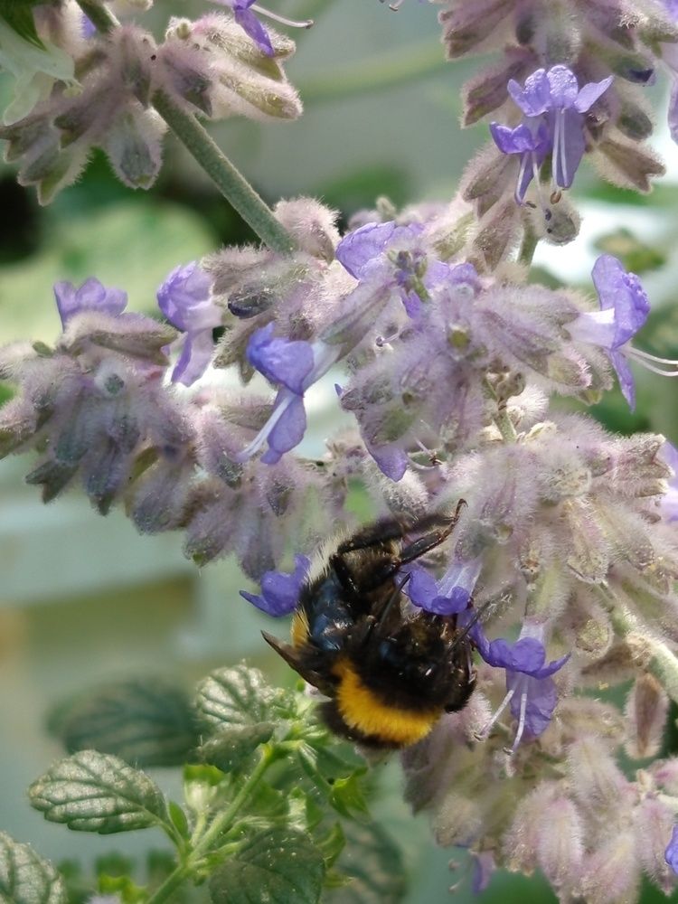 Фотография автора Jindřiška Kučerová