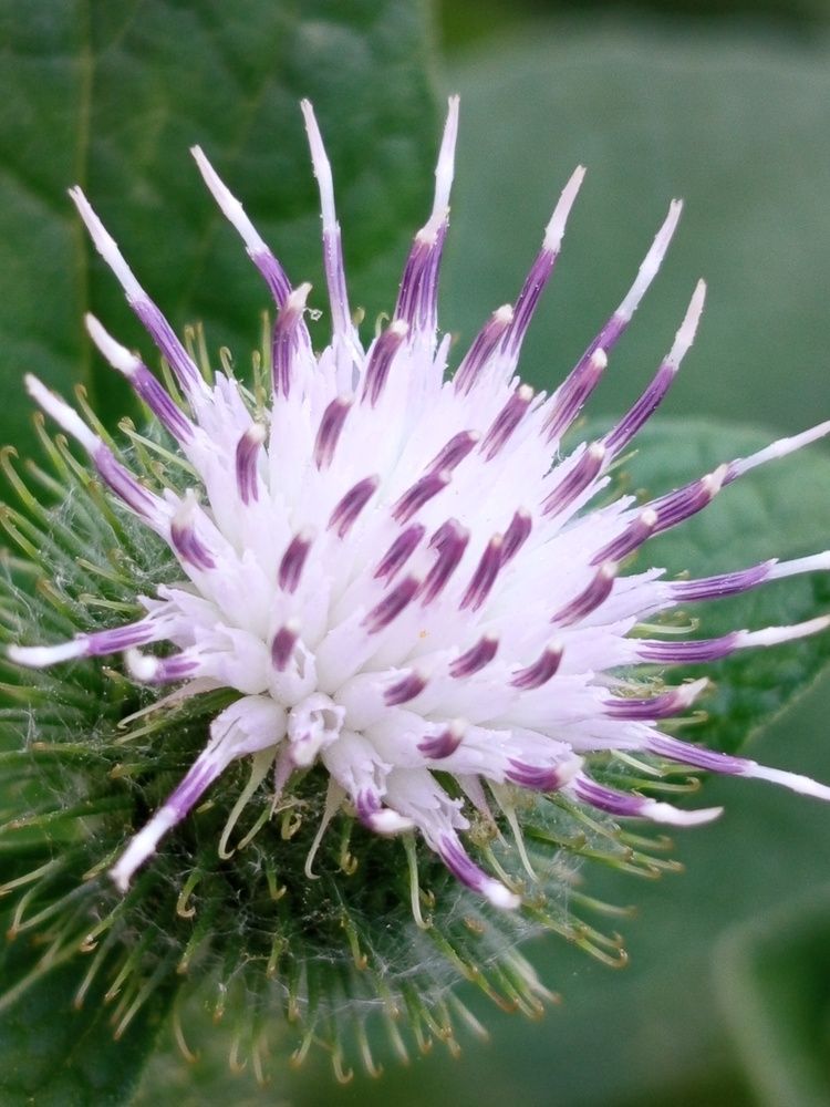 Фотография автора Jindřiška Kučerová