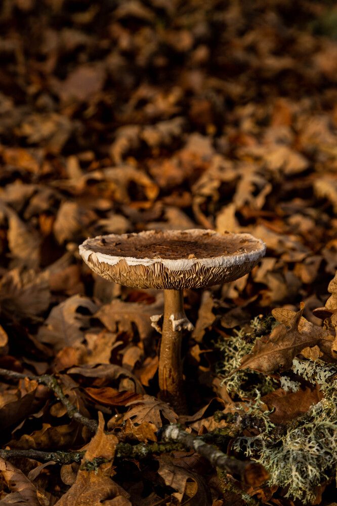 Photograph by maxime FLEURET