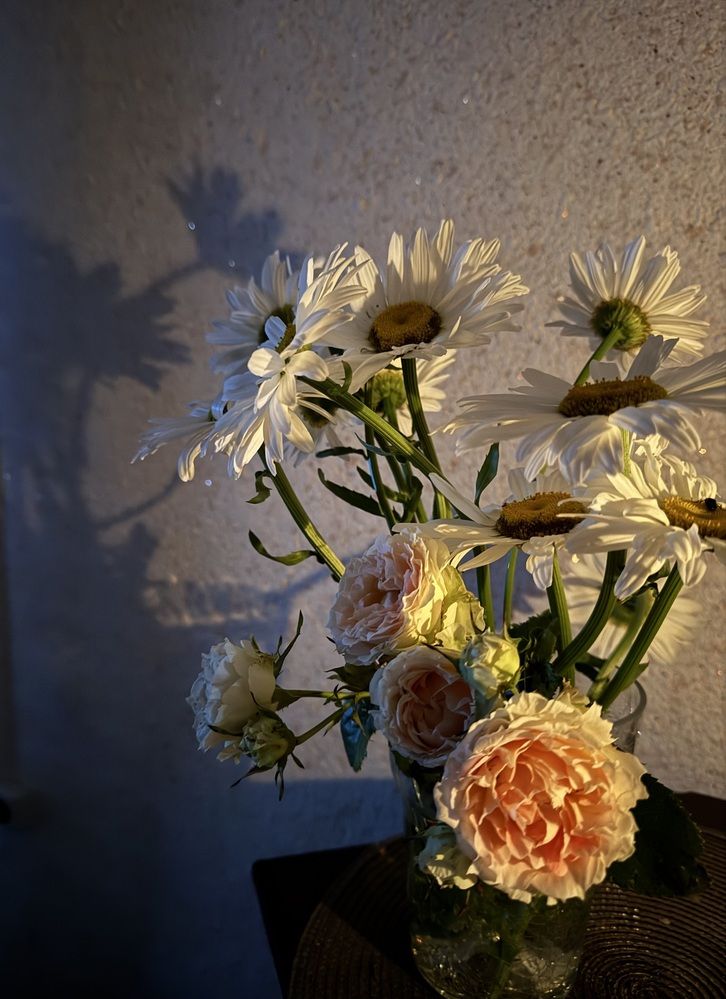 Photograph by Бойкова Наталия