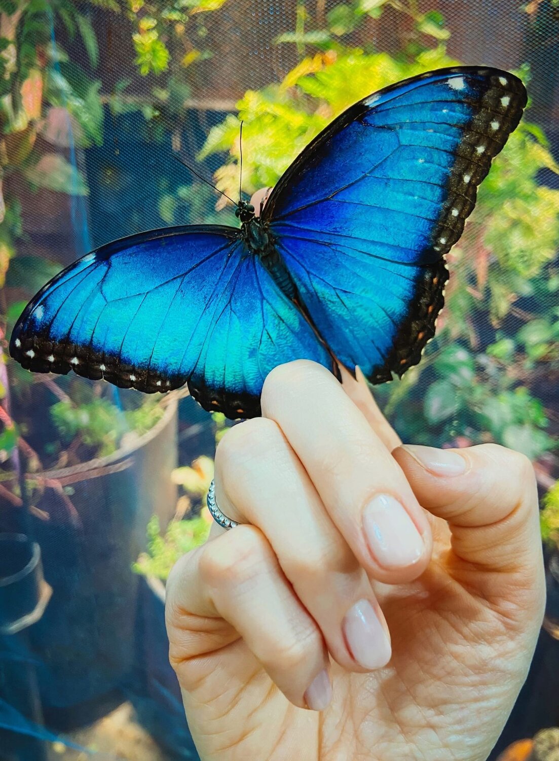 Photo #12490805