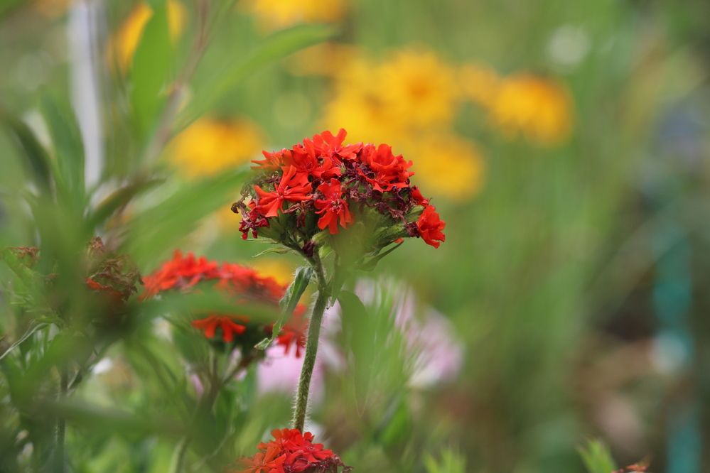 Photograph by Галина Мазур