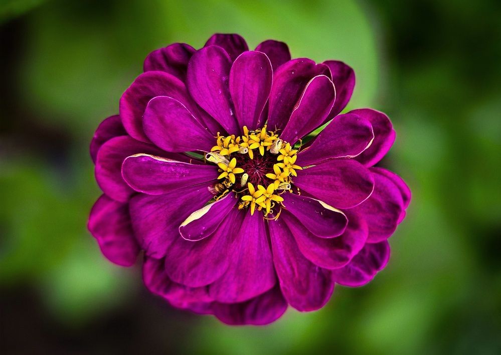 Photograph by Андрей Безгин