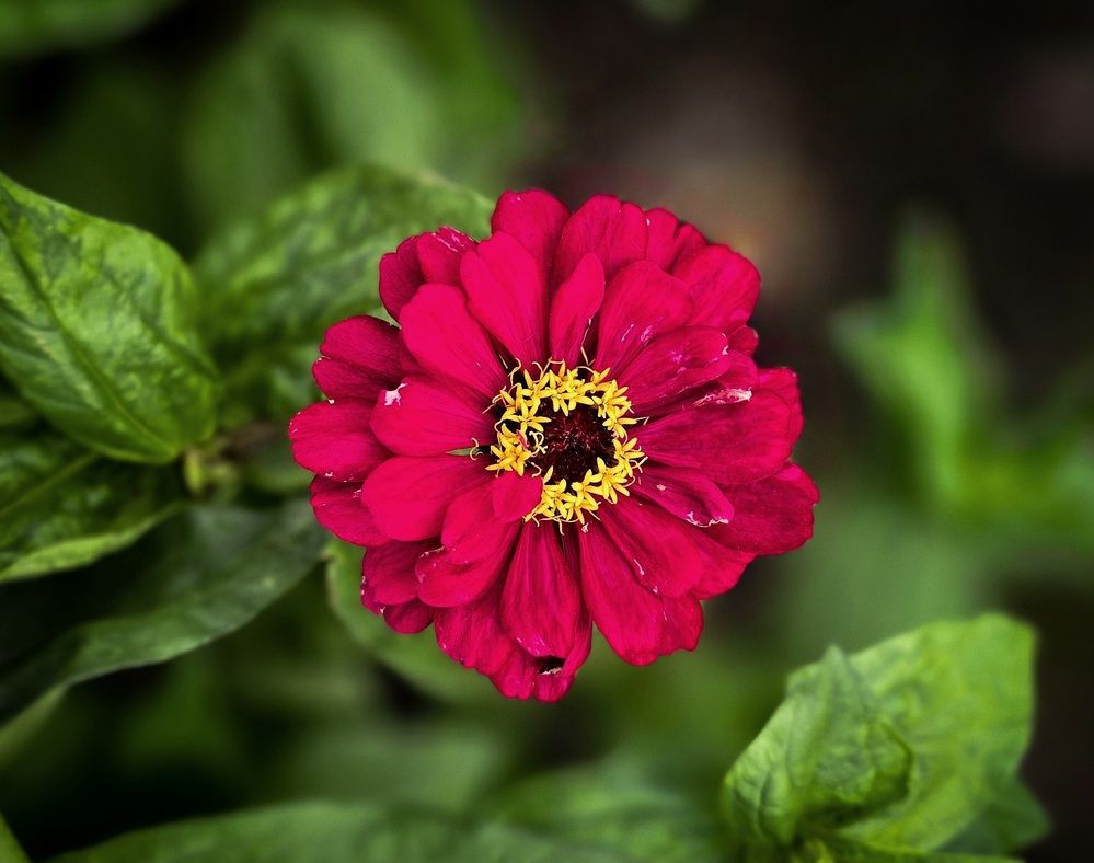 Photograph by Андрей Безгин