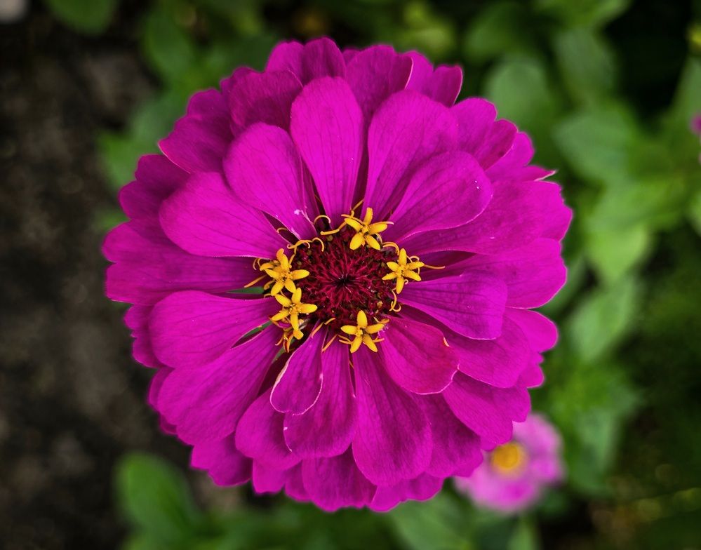 Photograph by Андрей Безгин