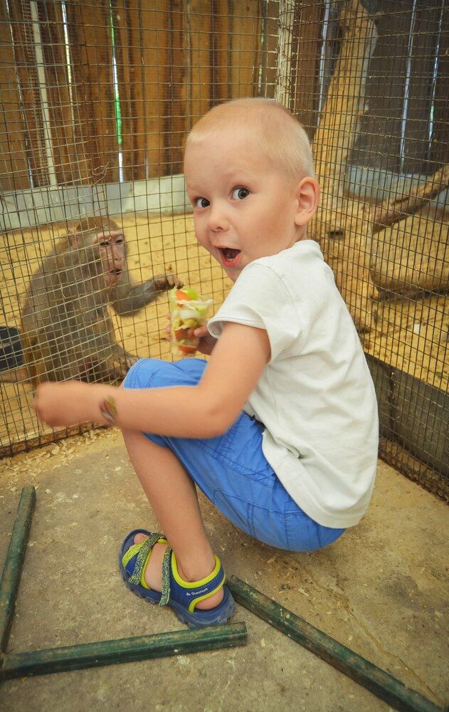 Фотография автора Анастасия Сироткина