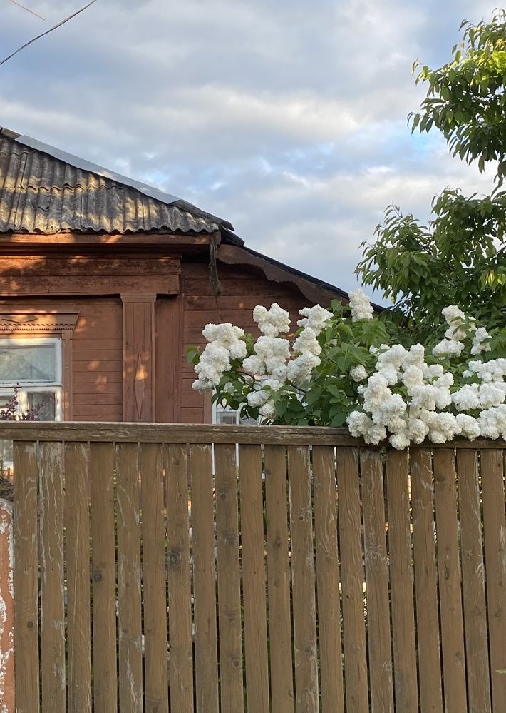 Photograph by Юлия Ефремова