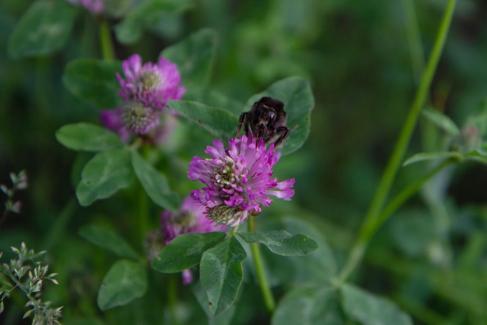 Photograph by Светлана Зайкова