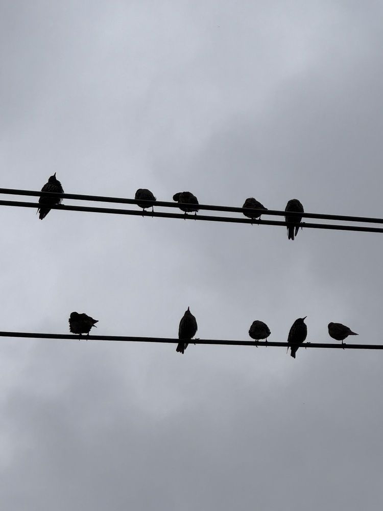 Photograph by Юлия Ефремова