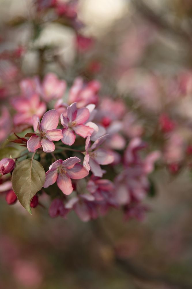 Photograph by Екатерина Будакова