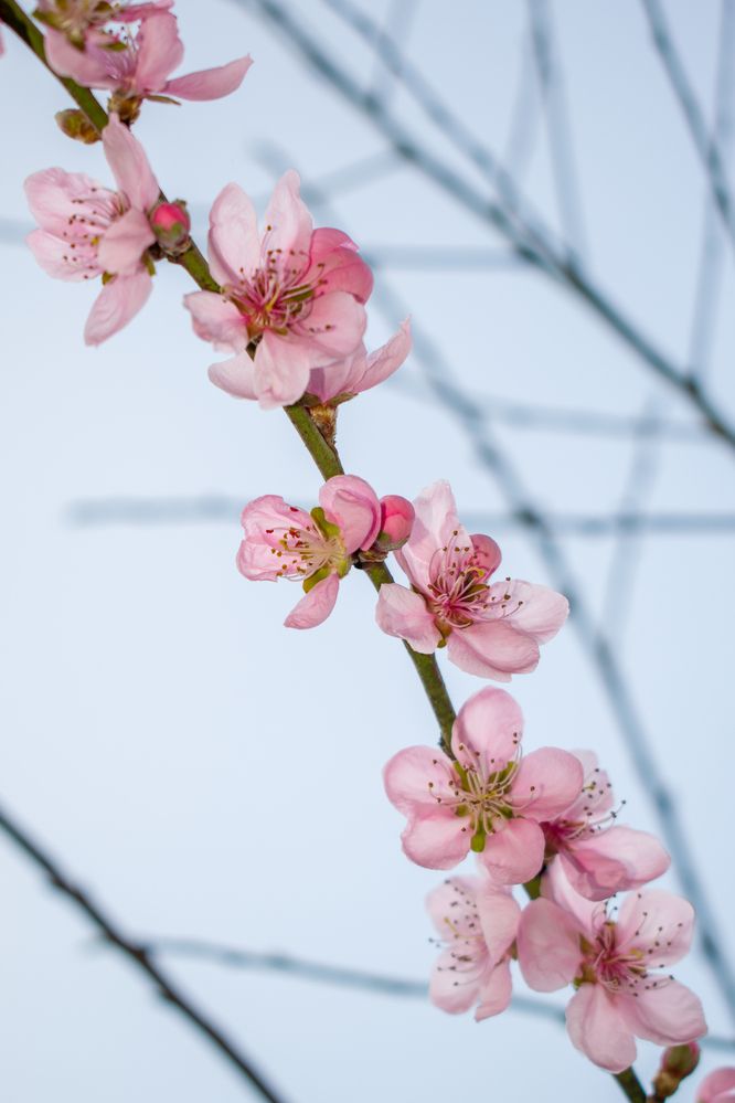 Photograph by SUHAS MANDAL