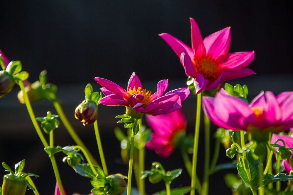 Photograph by Елизавета Колесникова