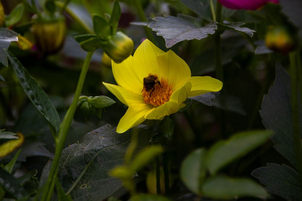 Photograph by Елизавета Колесникова