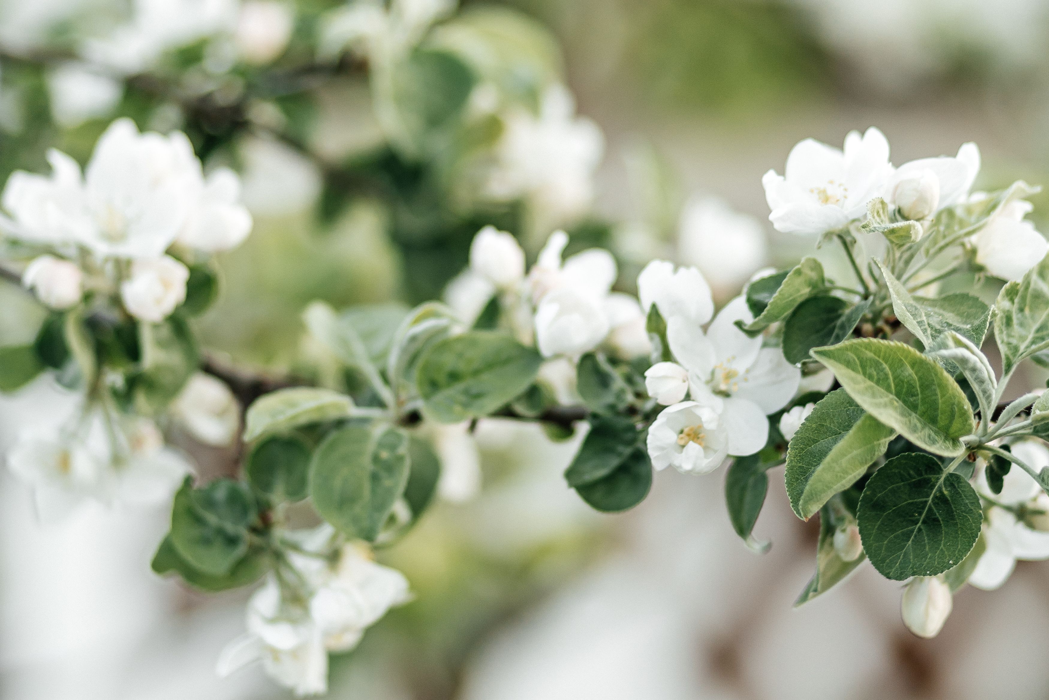 Photograph by Екатерина Будакова