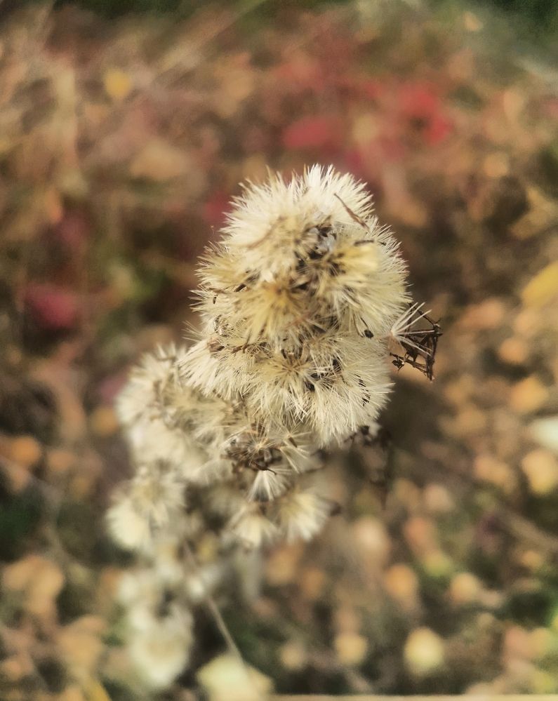 Photograph by Анна Муковозова