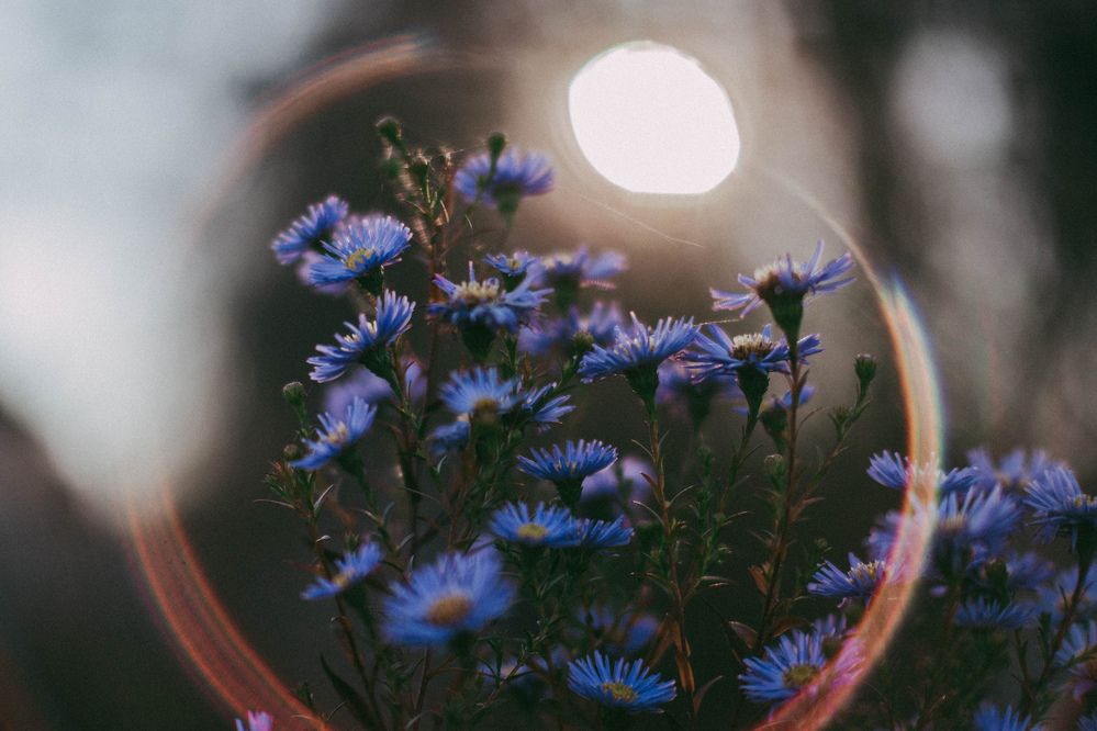 Photograph by Анна Муковозова