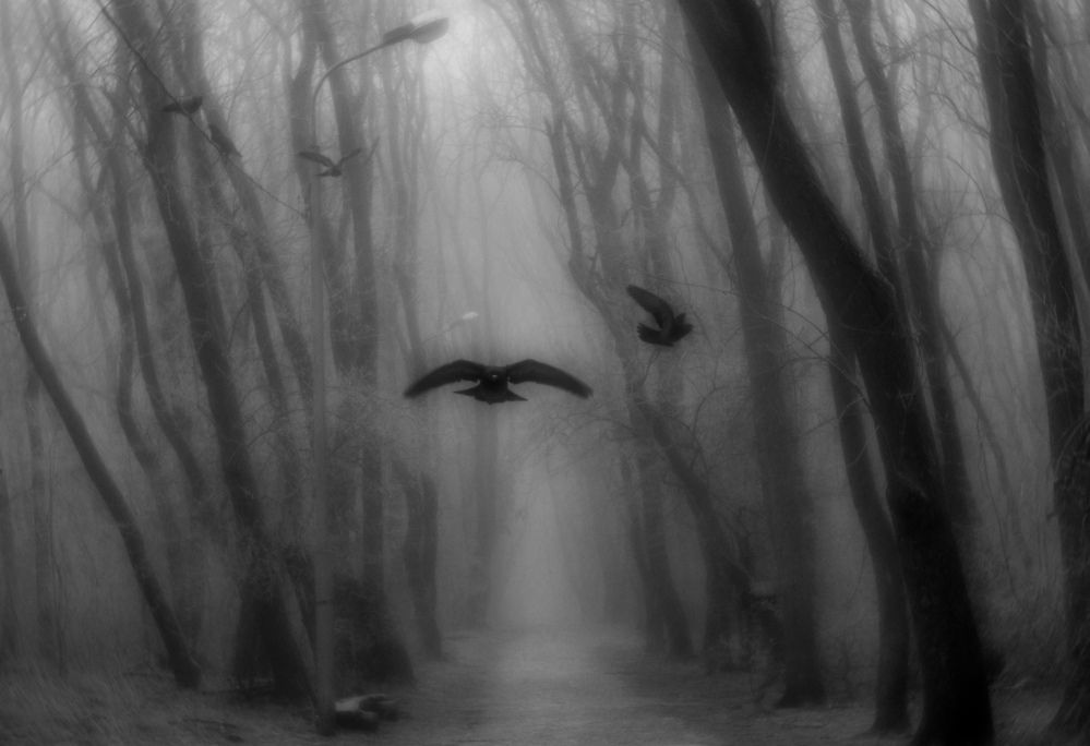 Photograph by Виталий Маслов