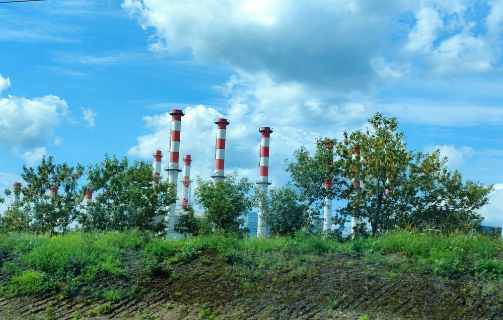 Photograph by Юлия Холомцева