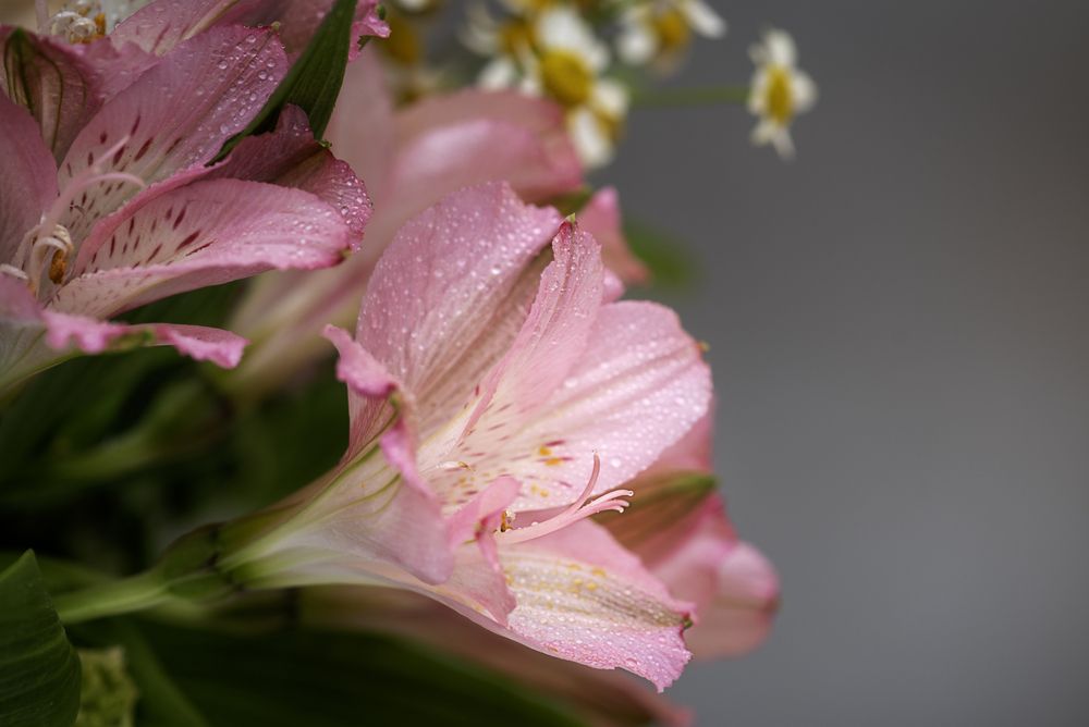 Photograph by Irina Grigoryeva