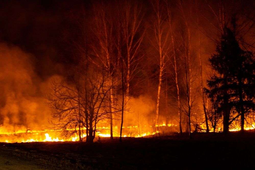 Фотография автора Aamoda Kitchen