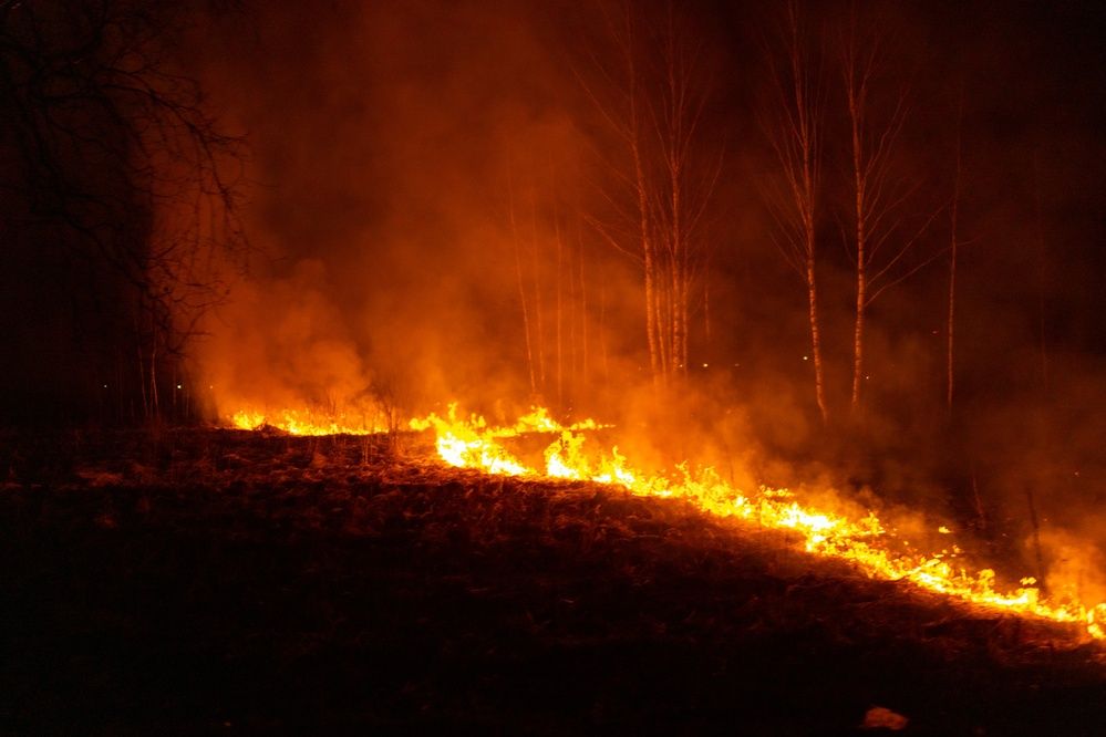 Фотография автора Aamoda Kitchen