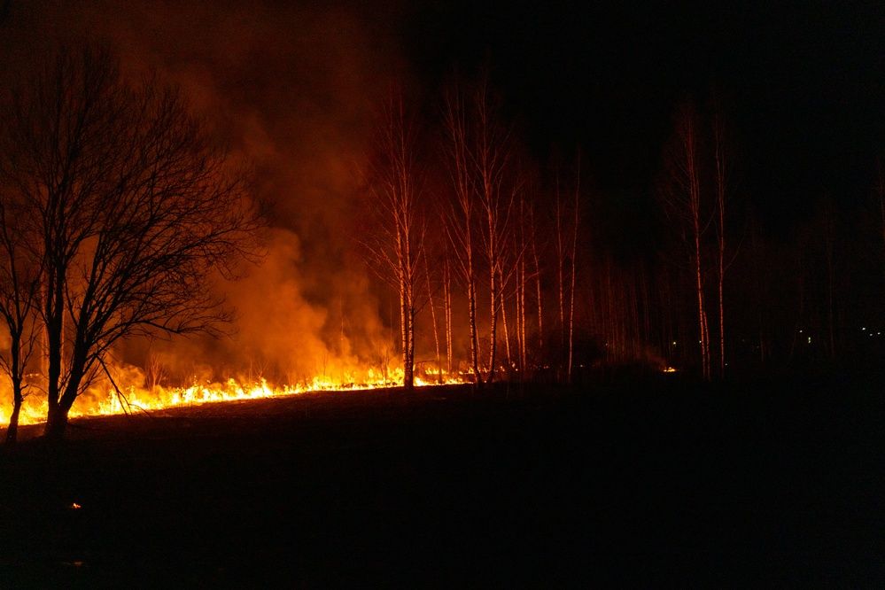 Photograph by Aamoda Kitchen