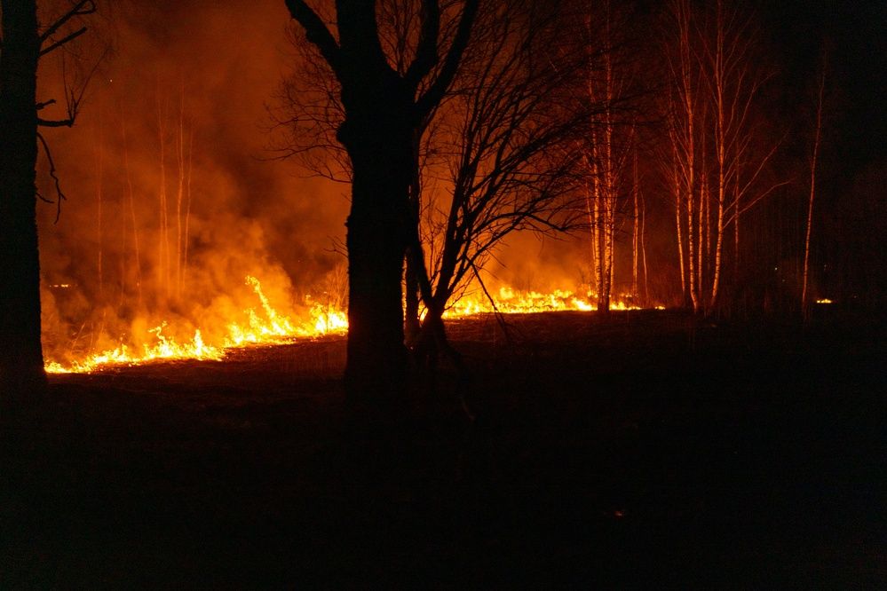 Фотография автора Aamoda Kitchen