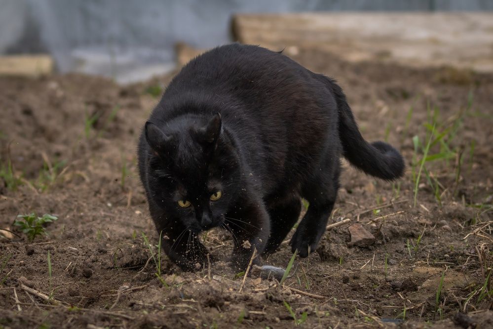 Photograph by Хабаров Сергей