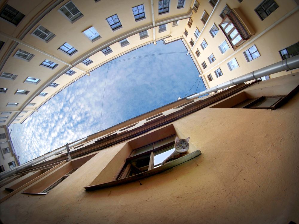 Photograph by Иван Труфанов