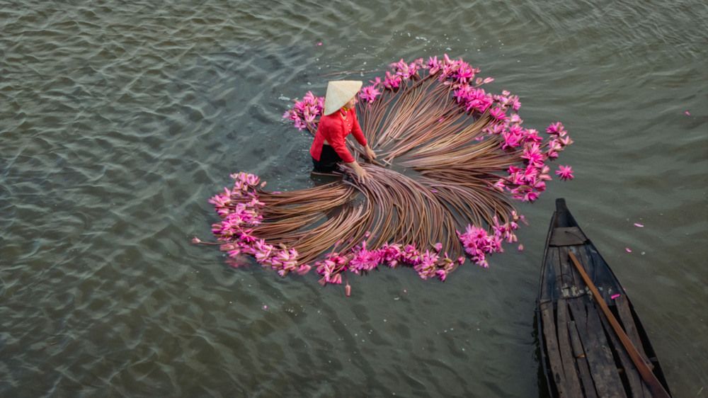 Photograph by QUAN NGUYEN HUNG