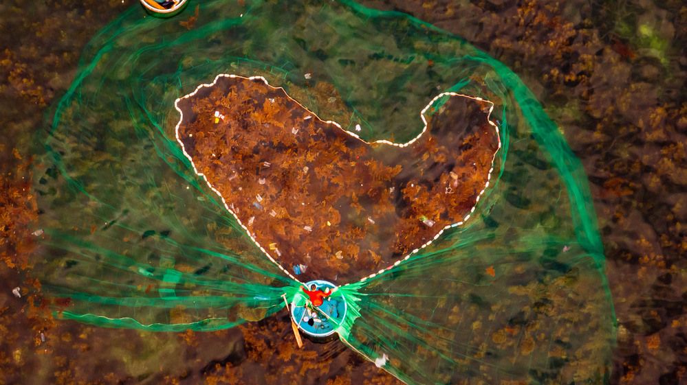 Фотография автора QUAN NGUYEN HUNG