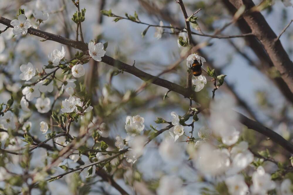 Фотография автора Валентина Комлева
