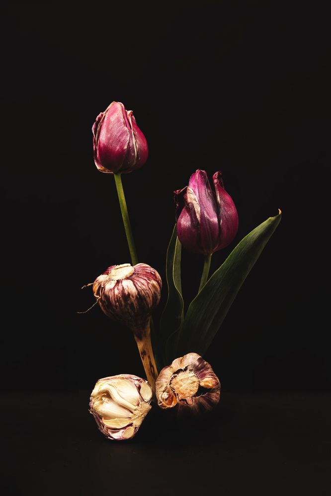 Photograph by Dina Garipova
