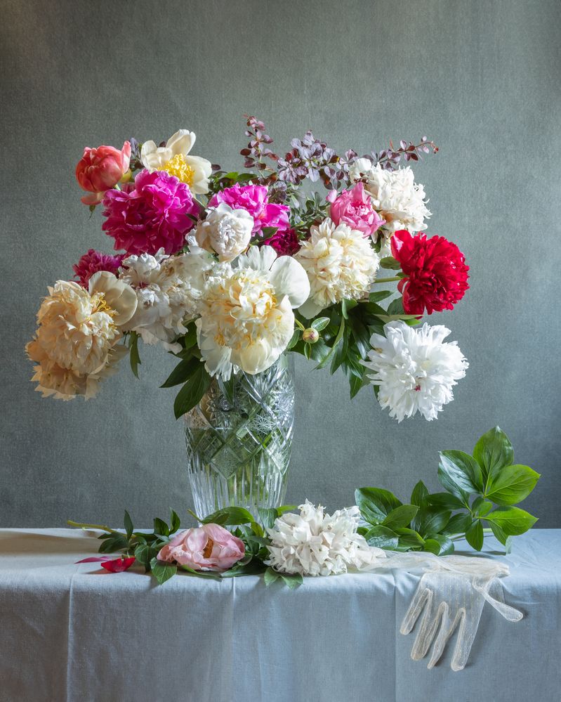 Photograph by Елена Осипова