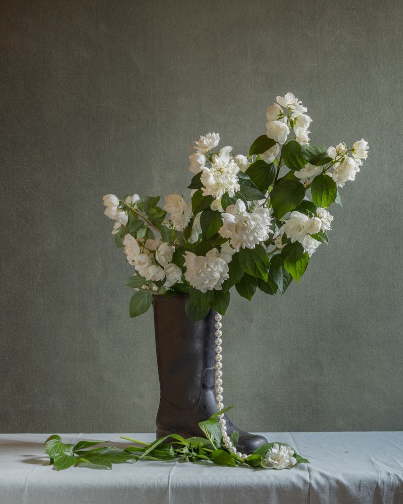 Photograph by Елена Осипова