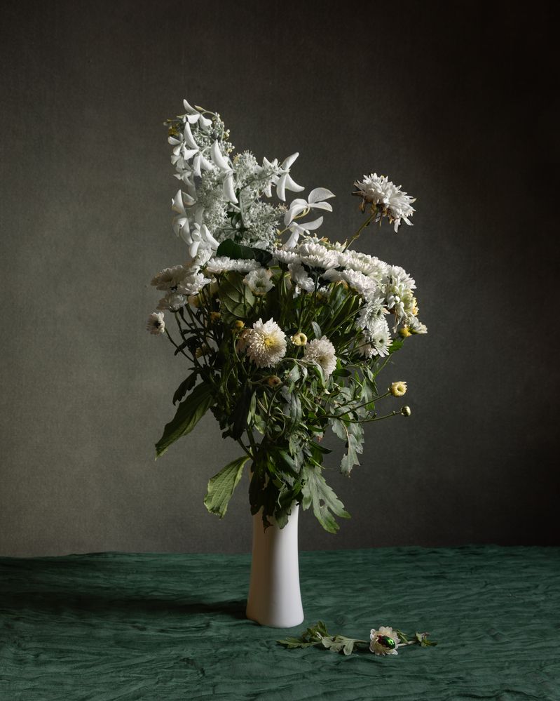 Photograph by Елена Осипова