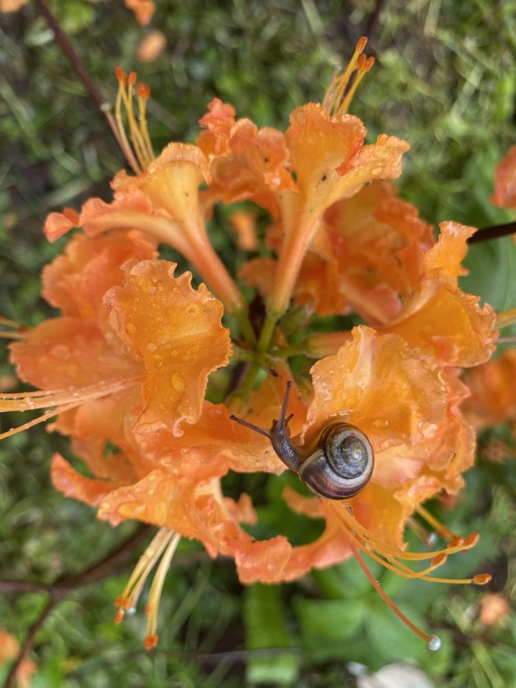 Photograph by Елена Осипова