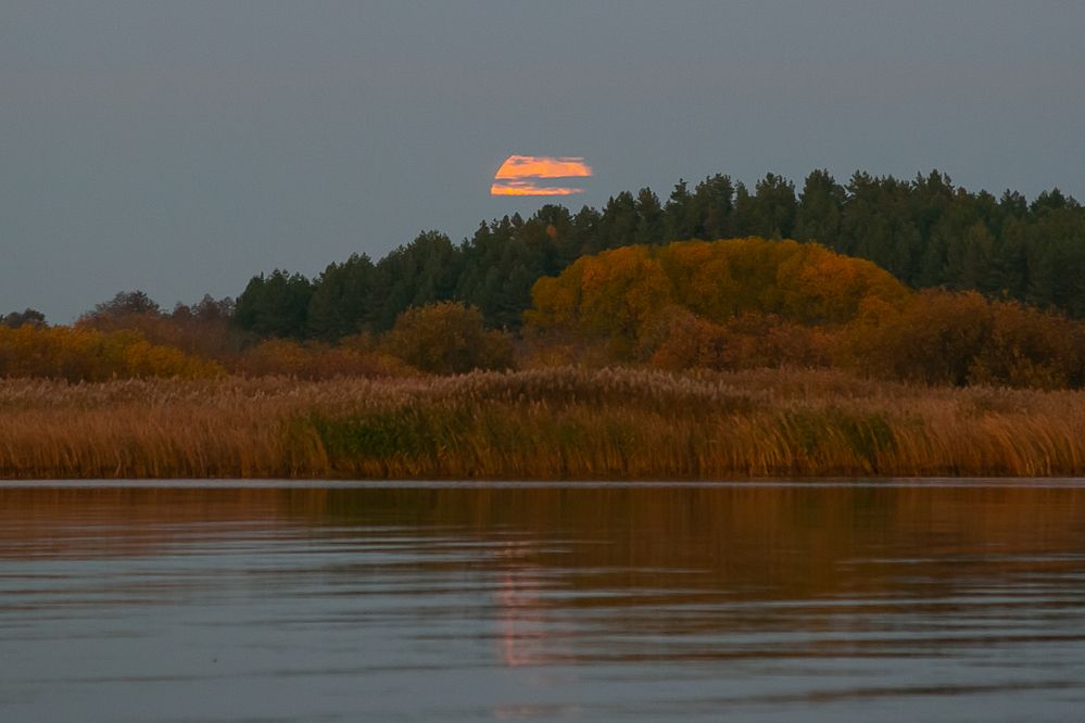 Photograph by Наталья Катюжанская