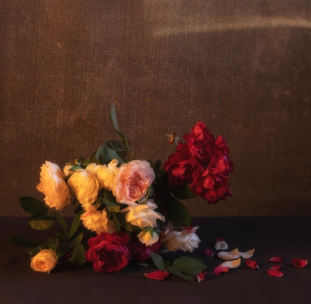 Photograph by Елена Осипова