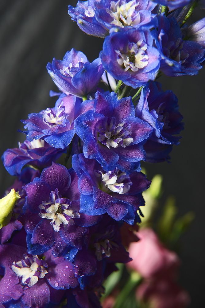 Фотография автора Андрей Неденко