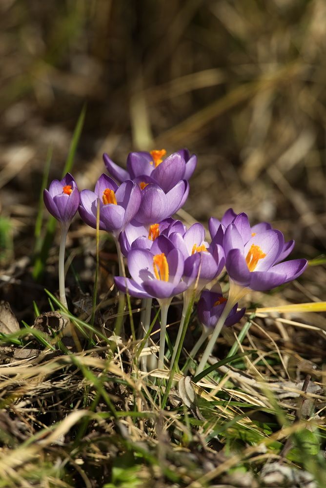 Фотография автора Андрей Неденко