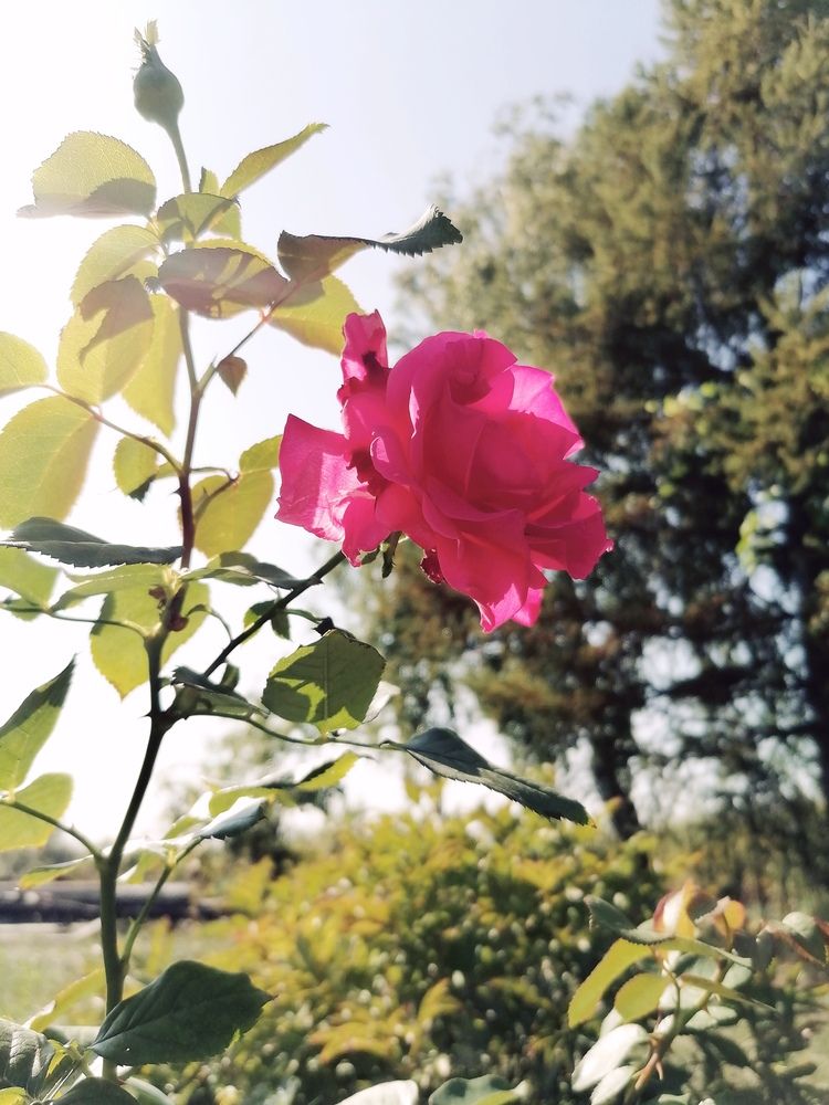 Photograph by Алексей Титков