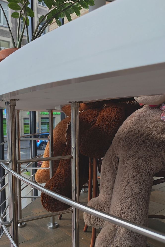 Фотография автора Наташа Данилова