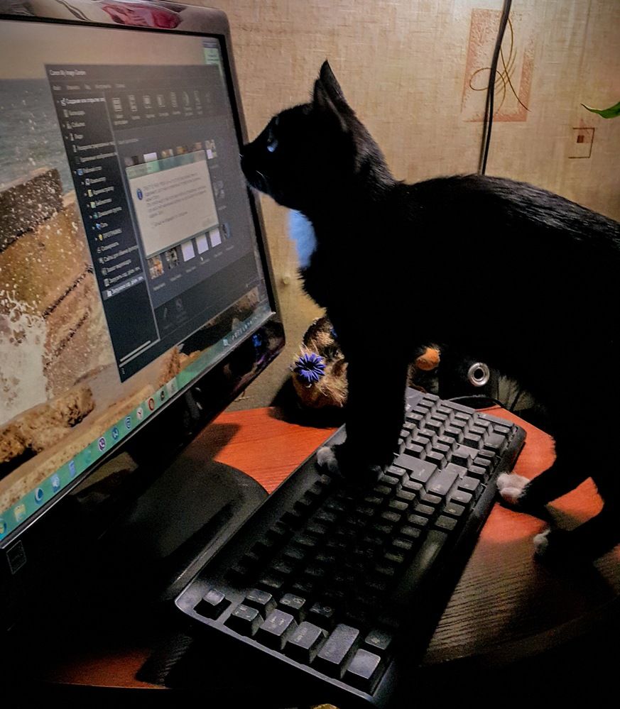 Photograph by Сергей Мамалюк